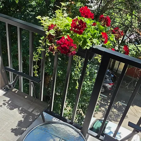 Cu O Matrimoniala Si De Zi Bucarest